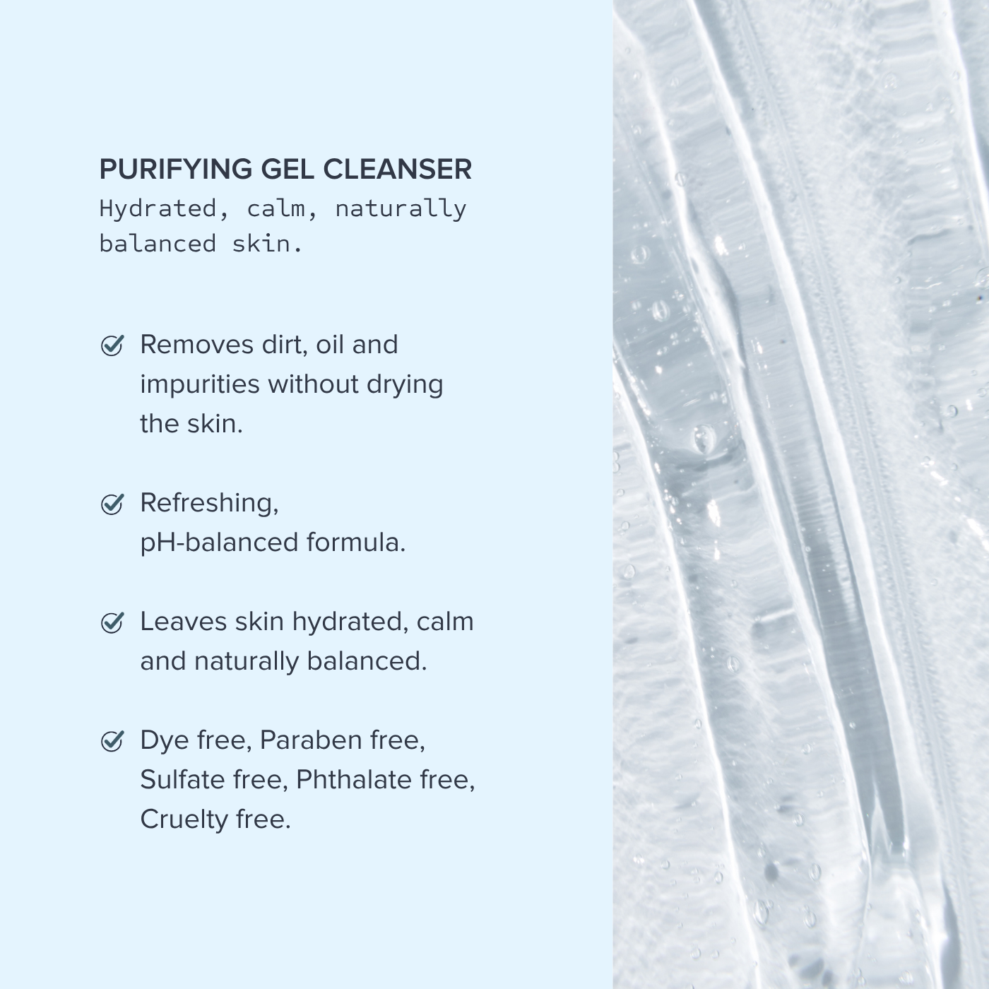 Purifying Gel Cleanser